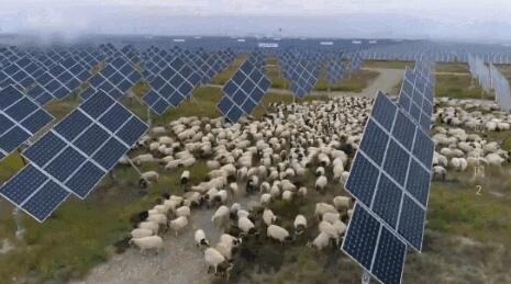 【電廠】2018年水電再次霸屏央視 水光互補(bǔ)項(xiàng)目閃亮登場(chǎng)！【電廠】2018年水電再次霸屏央視 水光互補(bǔ)項(xiàng)目閃亮登場(chǎng)！ 行業(yè)資訊 第6張