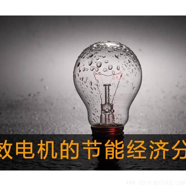 高效電機的節(jié)能經濟分析及應用
