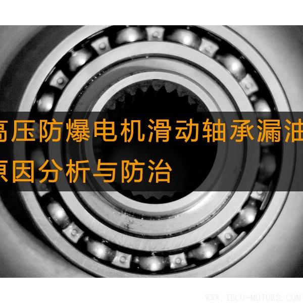 高壓防爆電機(jī)滑動軸承漏油的原因分析與防治 