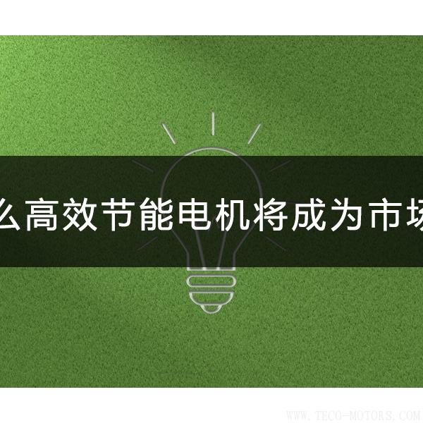 為什么高效節(jié)能電機(jī)將會(huì)成為市場主流