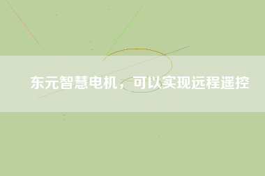 東元智慧電機，可以實現(xiàn)遠程遙控