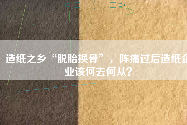 造紙之鄉(xiāng)“脫胎換骨”，陣痛過后造紙企業(yè)該何去何從？