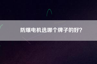 防爆電機選哪個牌子的好？