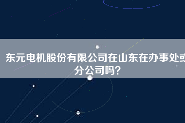 東元電機股份有限公司在山東在辦事處或分公司嗎？