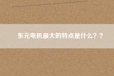 東元電機(jī)最大的特點(diǎn)是什么？？