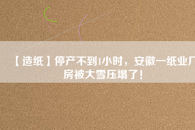 【造紙】停產(chǎn)不到1小時，安徽一紙業(yè)廠房被大雪壓塌了！