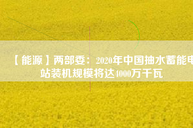 【能源】兩部委：2020年中國抽水蓄能電站裝機規(guī)模將達(dá)4000萬千瓦