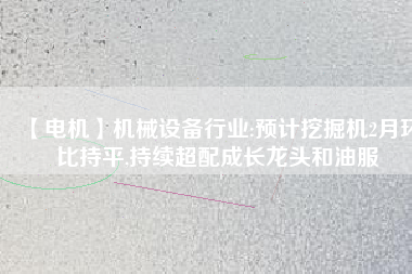 【電機】機械設(shè)備行業(yè):預(yù)計挖掘機2月環(huán)比持平,持續(xù)超配成長龍頭和油服
          