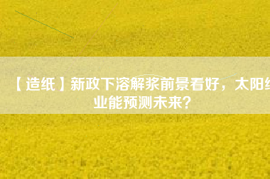 【造紙】新政下溶解漿前景看好，太陽(yáng)紙業(yè)能預(yù)測(cè)未來？