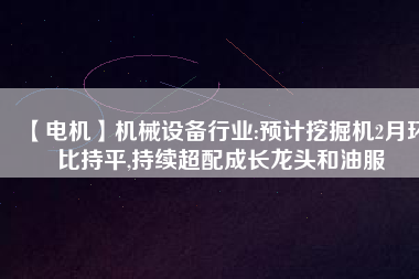 【電機】機械設(shè)備行業(yè):預(yù)計挖掘機2月環(huán)比持平,持續(xù)超配成長龍頭和油服
          