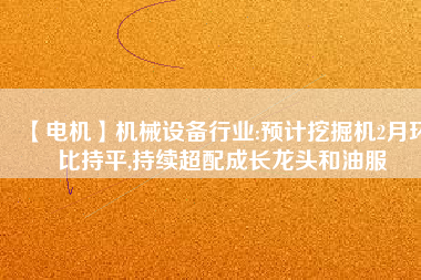 【電機】機械設(shè)備行業(yè):預(yù)計挖掘機2月環(huán)比持平,持續(xù)超配成長龍頭和油服
          