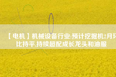 【電機】機械設(shè)備行業(yè):預(yù)計挖掘機2月環(huán)比持平,持續(xù)超配成長龍頭和油服
          
