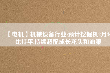 【電機】機械設(shè)備行業(yè):預(yù)計挖掘機2月環(huán)比持平,持續(xù)超配成長龍頭和油服
          