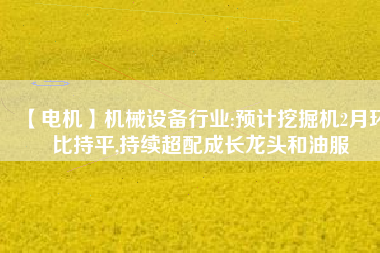 【電機】機械設(shè)備行業(yè):預(yù)計挖掘機2月環(huán)比持平,持續(xù)超配成長龍頭和油服
          