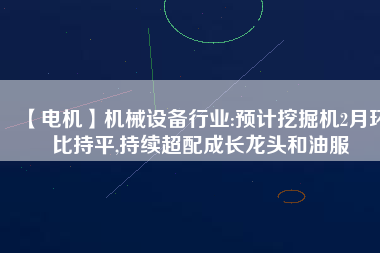 【電機】機械設(shè)備行業(yè):預(yù)計挖掘機2月環(huán)比持平,持續(xù)超配成長龍頭和油服
          