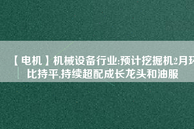 【電機】機械設(shè)備行業(yè):預(yù)計挖掘機2月環(huán)比持平,持續(xù)超配成長龍頭和油服
          