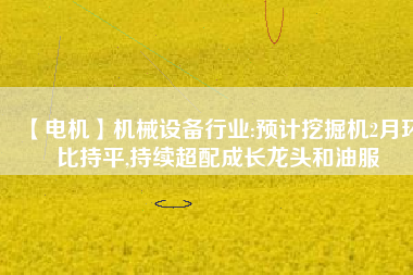 【電機】機械設(shè)備行業(yè):預(yù)計挖掘機2月環(huán)比持平,持續(xù)超配成長龍頭和油服
          