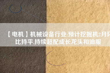 【電機】機械設(shè)備行業(yè):預(yù)計挖掘機2月環(huán)比持平,持續(xù)超配成長龍頭和油服
          