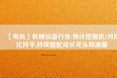 【電機】機械設(shè)備行業(yè):預(yù)計挖掘機2月環(huán)比持平,持續(xù)超配成長龍頭和油服
          