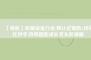 【電機】機械設(shè)備行業(yè):預(yù)計挖掘機2月環(huán)比持平,持續(xù)超配成長龍頭和油服
          