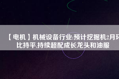 【電機】機械設(shè)備行業(yè):預(yù)計挖掘機2月環(huán)比持平,持續(xù)超配成長龍頭和油服
          