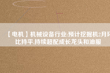 【電機】機械設(shè)備行業(yè):預(yù)計挖掘機2月環(huán)比持平,持續(xù)超配成長龍頭和油服
          