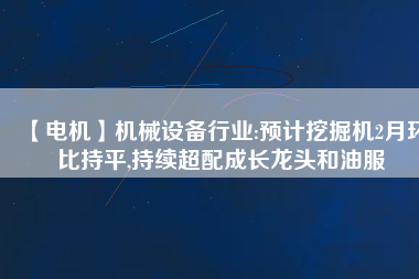 【電機】機械設(shè)備行業(yè):預(yù)計挖掘機2月環(huán)比持平,持續(xù)超配成長龍頭和油服
          