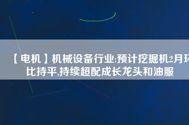 【電機】機械設(shè)備行業(yè):預(yù)計挖掘機2月環(huán)比持平,持續(xù)超配成長龍頭和油服
          