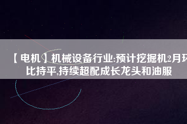 【電機】機械設(shè)備行業(yè):預(yù)計挖掘機2月環(huán)比持平,持續(xù)超配成長龍頭和油服
          