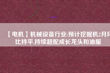 【電機】機械設(shè)備行業(yè):預(yù)計挖掘機2月環(huán)比持平,持續(xù)超配成長龍頭和油服
          