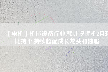 【電機】機械設(shè)備行業(yè):預(yù)計挖掘機2月環(huán)比持平,持續(xù)超配成長龍頭和油服
          