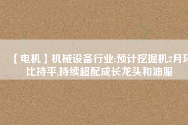 【電機】機械設(shè)備行業(yè):預(yù)計挖掘機2月環(huán)比持平,持續(xù)超配成長龍頭和油服
          