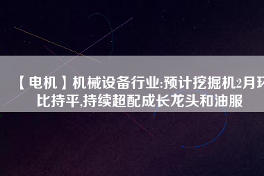 【電機】機械設(shè)備行業(yè):預(yù)計挖掘機2月環(huán)比持平,持續(xù)超配成長龍頭和油服
          