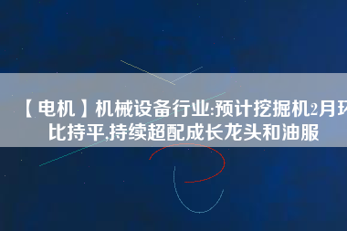【電機】機械設(shè)備行業(yè):預(yù)計挖掘機2月環(huán)比持平,持續(xù)超配成長龍頭和油服
          