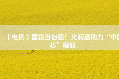 【電機(jī)】國(guó)貨當(dāng)自強(qiáng)！光潤(rùn)通助力“中國(guó)芯”崛起
          