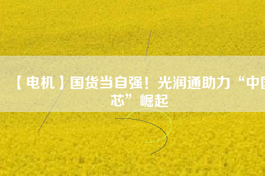 【電機(jī)】國(guó)貨當(dāng)自強(qiáng)！光潤(rùn)通助力“中國(guó)芯”崛起
          