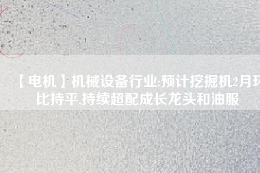 【電機】機械設(shè)備行業(yè):預(yù)計挖掘機2月環(huán)比持平,持續(xù)超配成長龍頭和油服
          