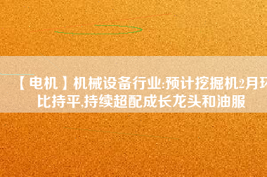 【電機】機械設(shè)備行業(yè):預(yù)計挖掘機2月環(huán)比持平,持續(xù)超配成長龍頭和油服
          