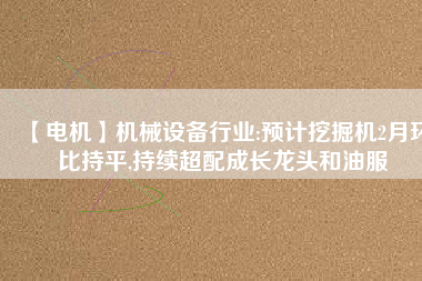 【電機】機械設(shè)備行業(yè):預(yù)計挖掘機2月環(huán)比持平,持續(xù)超配成長龍頭和油服
          