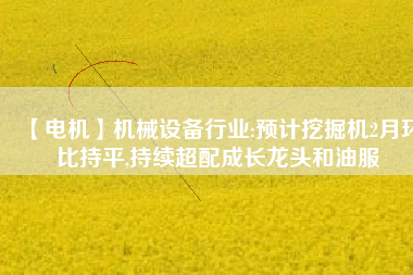 【電機】機械設(shè)備行業(yè):預(yù)計挖掘機2月環(huán)比持平,持續(xù)超配成長龍頭和油服
          