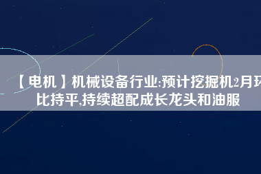 【電機】機械設(shè)備行業(yè):預(yù)計挖掘機2月環(huán)比持平,持續(xù)超配成長龍頭和油服
          