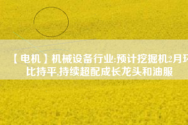 【電機】機械設(shè)備行業(yè):預(yù)計挖掘機2月環(huán)比持平,持續(xù)超配成長龍頭和油服
          