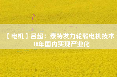 【電機(jī)】呂超:泰特發(fā)力輪轂電機(jī)技術(shù) 2018年國內(nèi)實現(xiàn)產(chǎn)業(yè)化