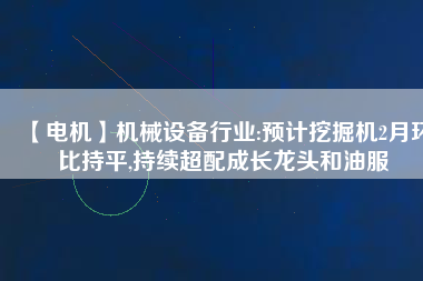 【電機】機械設(shè)備行業(yè):預(yù)計挖掘機2月環(huán)比持平,持續(xù)超配成長龍頭和油服
          