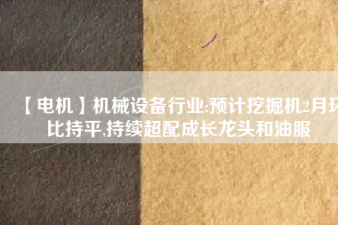 【電機】機械設(shè)備行業(yè):預(yù)計挖掘機2月環(huán)比持平,持續(xù)超配成長龍頭和油服
          