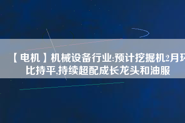 【電機】機械設(shè)備行業(yè):預(yù)計挖掘機2月環(huán)比持平,持續(xù)超配成長龍頭和油服
          