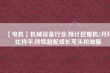 【電機】機械設(shè)備行業(yè):預(yù)計挖掘機2月環(huán)比持平,持續(xù)超配成長龍頭和油服
          