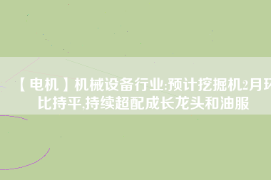 【電機】機械設(shè)備行業(yè):預(yù)計挖掘機2月環(huán)比持平,持續(xù)超配成長龍頭和油服
          