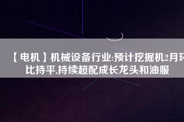【電機】機械設(shè)備行業(yè):預(yù)計挖掘機2月環(huán)比持平,持續(xù)超配成長龍頭和油服
          
