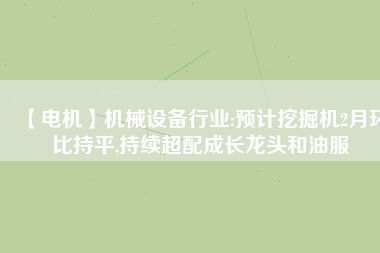 【電機】機械設(shè)備行業(yè):預(yù)計挖掘機2月環(huán)比持平,持續(xù)超配成長龍頭和油服
          